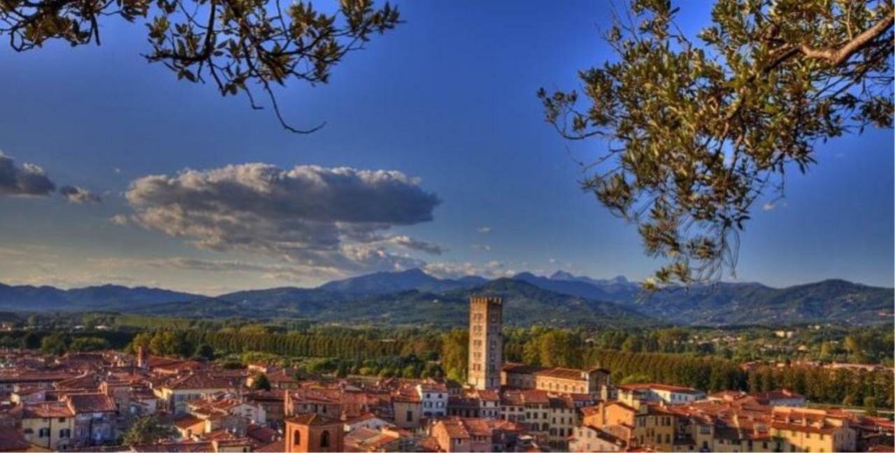 Il Glicine Di Lucca Lejlighed Eksteriør billede