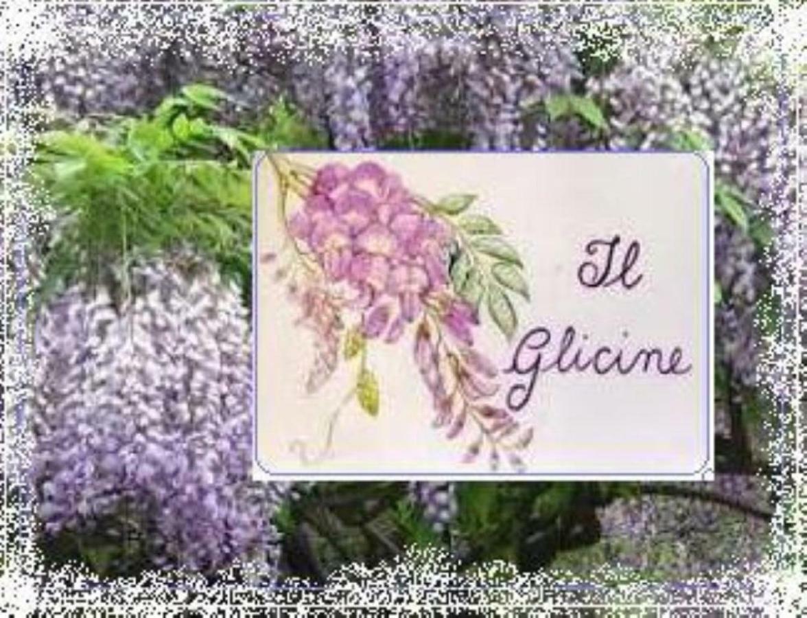 Il Glicine Di Lucca Lejlighed Eksteriør billede